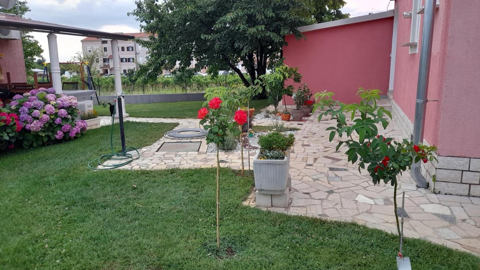 Apartments Dragica Poreč Exterior foto